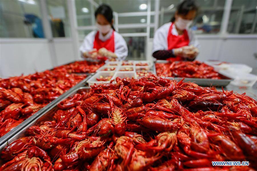 Cooks prepare crayfish for the "International Crayfish Festival" held in Jiangsu province, May of 2016.