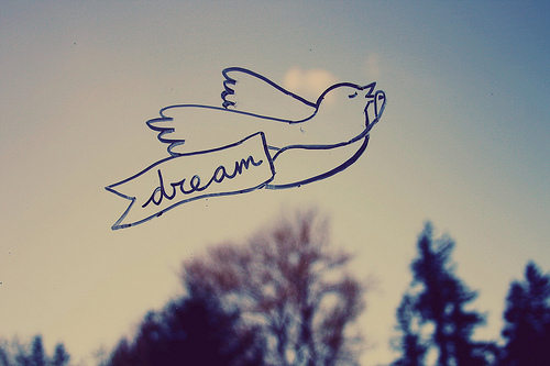 梦Dreams