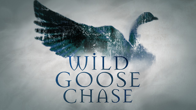 用中文说: "Wild-goose chase"