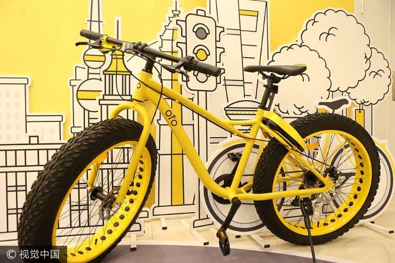 ofo office