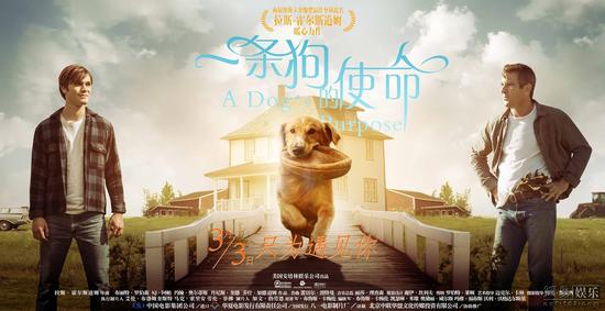 A poster for the movie “A Dog’s Purpose.” [Photo: 163.com]