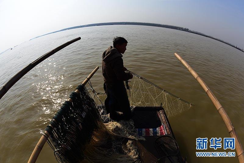 China introduces permanent fishing ban in all 279 aquatic reserves along the Yangtze River, in an effort to revive the flagging ecosystem of its largest river. [Photo: Xinhua]