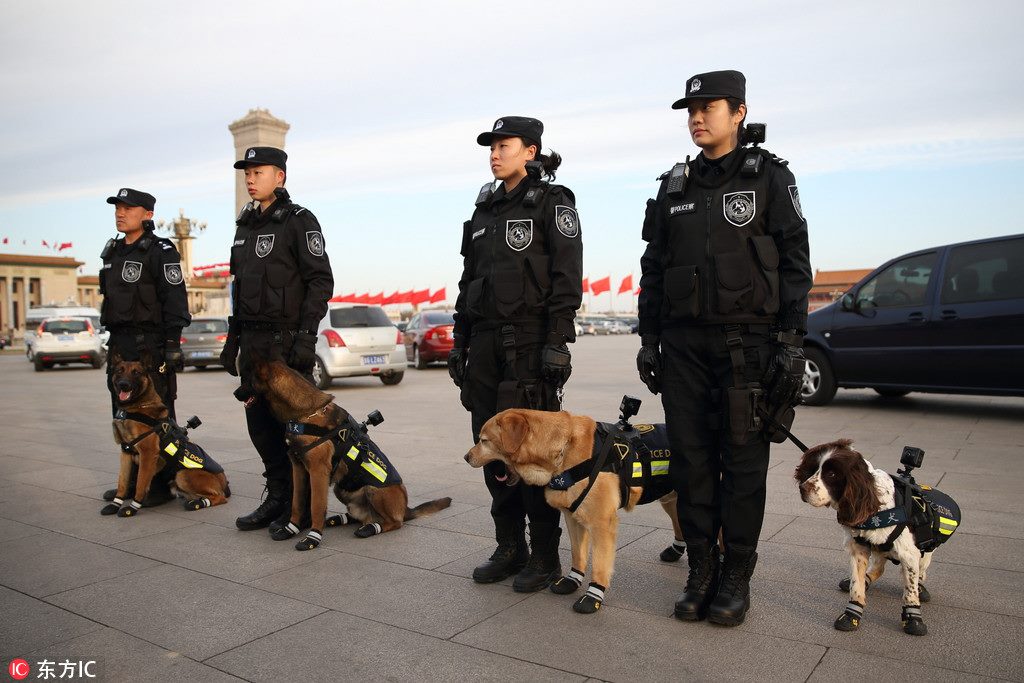 Police dogs armed(装备) with customized vests with VR (virtual reality) cameras were patrolling(巡逻) the Great Hall of the People in Beijing where the annual National People’s Congress (NPC) and Chinese People's Political Consultative Conference (CPPCC) were held(举行). Police officers were also equipped with VR glasses and could recheck(核查) the vehicles(机动车) that had already passed(通过) security check by replaying(回放) surveillance videos recorded(录制) by the police dogs.北京的警犬首次尝试佩戴警用全景VR执法记录仪，在举行两会的人民大会堂附近巡逻。警员也配备了VR眼镜，在后期可以回放警犬录制下的视频，核查已经通过安全检查的车辆。