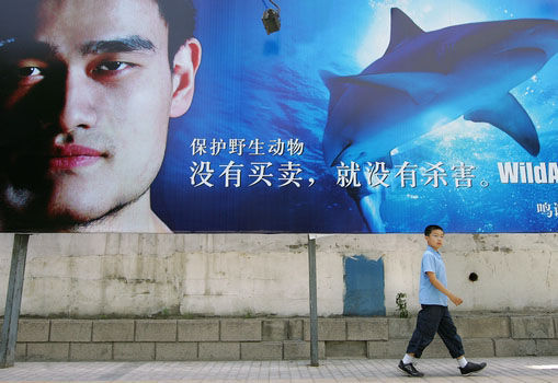 Yao Ming's noncommercial of protecting wild sharks [File photo: baidu.com]