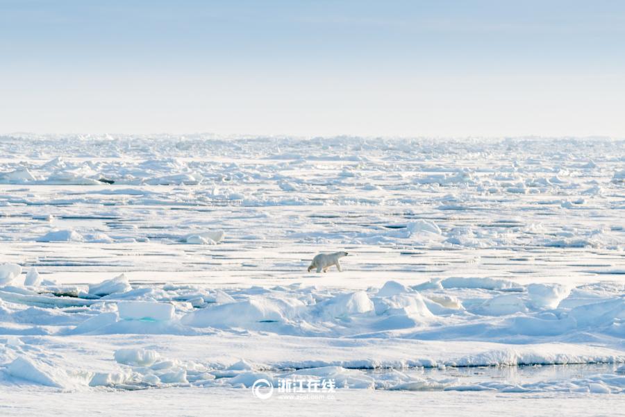 Photo shows the spectacular view of the North Pole. [Photo: zjol.com.cn]