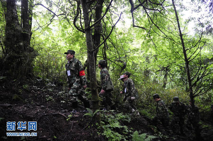 Workers patrol in the primeval forest in Sichuan Province. [Photo: Xinhua]