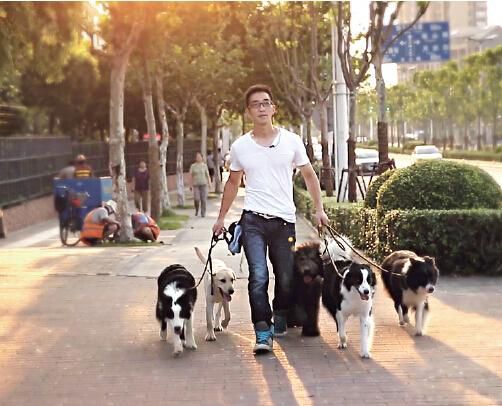 Wu Qi and his autism assistance dogs [File photo: 163.com]