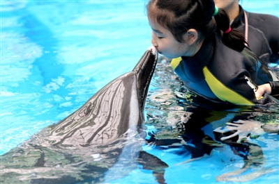 Chen Chen kisses the dolphin at HaiChang Aquarium in Chengdu on Mar 30, 2017. [Photo: echengdu.cn]