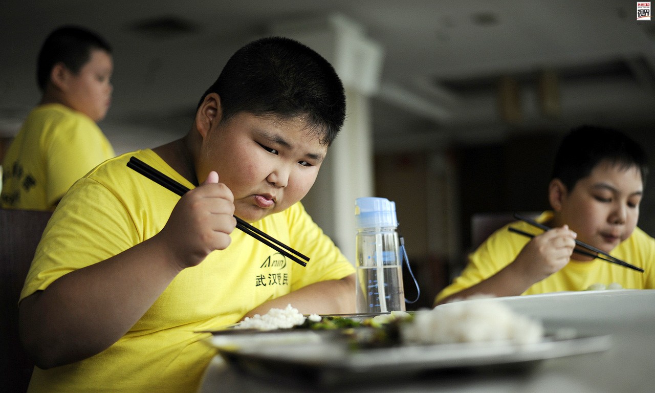 Chinese scientists discover a medicinal compound which targets cell metabolism and could help tackle obesity.[Photo: ibaoyin.com]