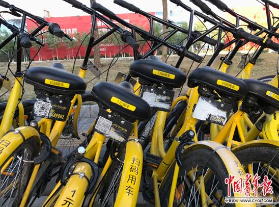 Some ofo bikes with damaged license plates in Fengtai district, Beijing. [Photo: cyol.com]