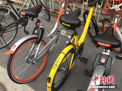 Shared bikes on Chinese streets. [File Photo: Chinanews.com]