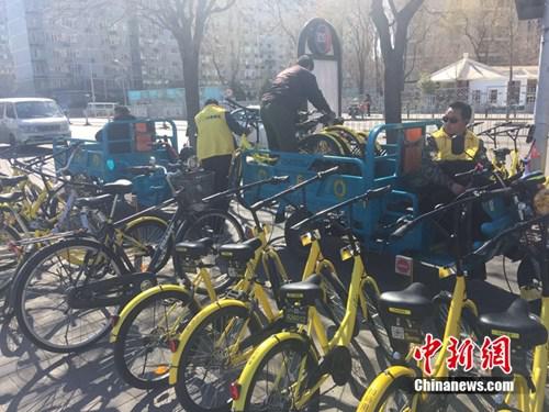Shared bikes on Chinese streets. [File Photo: Chinanews.com]