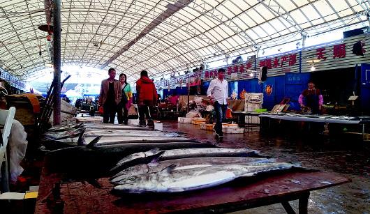 The picture shows fresh mackerel is selling well in fresh seafood markets. [Photo: dzwww.com]