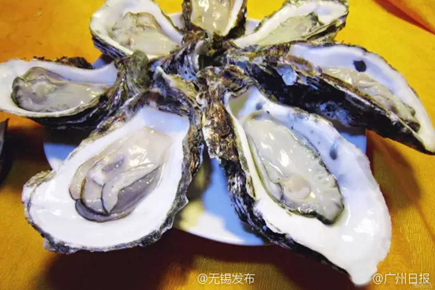 According to the data from the Zhiyan organization, Chinese people consumed over 4,574,3000 tons of oysters in 2015. [File photo: ifeng.com]