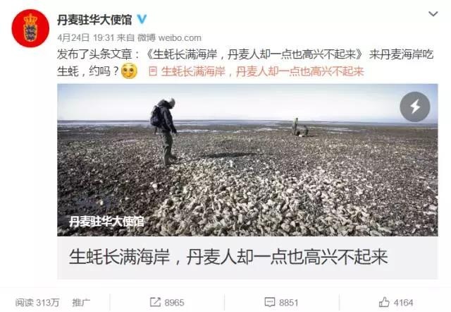 Giant oyster invasion - the Royal Danish Embassy seeks help on Weibo. [File photo: Weibo.com]