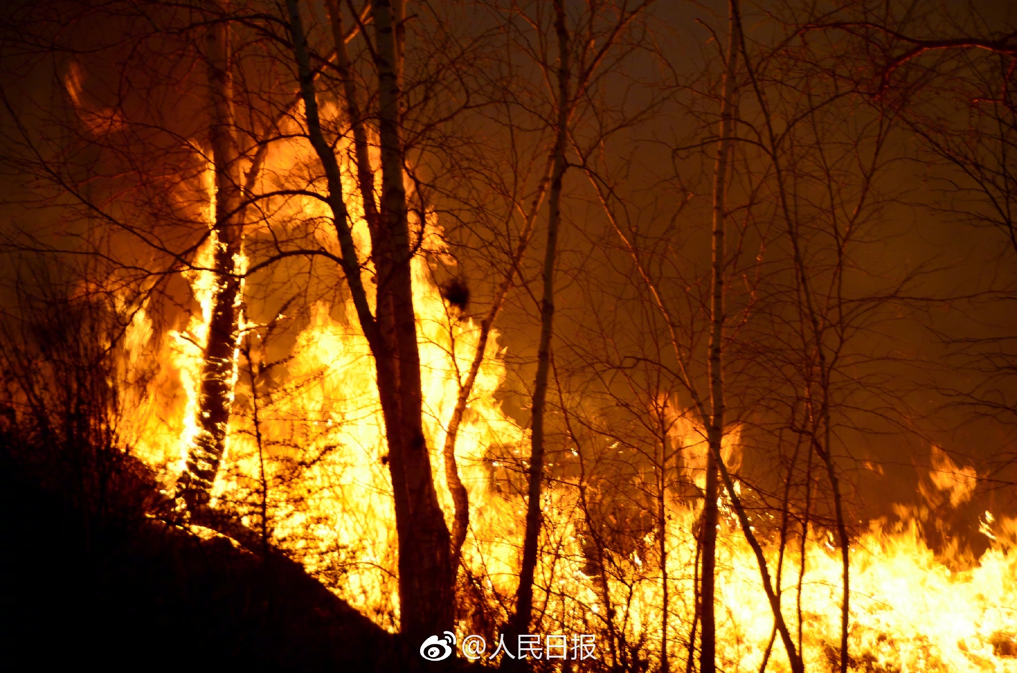 The fire breaks out on Tuesday in northern China's Inner Mongolia Autonomous Region. [Photo: weibo.com]