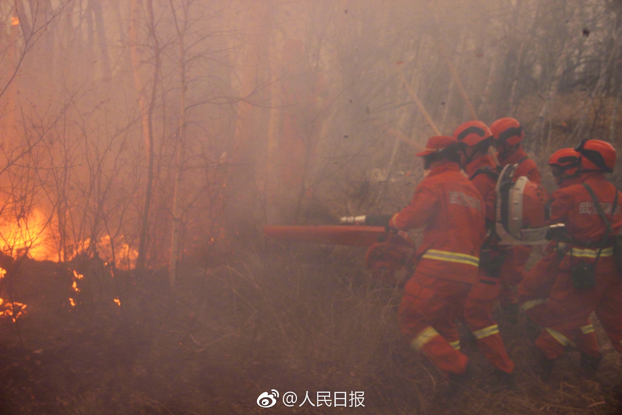 Firefighters try to put out the forest fire in northern China's Inner Mongolia Autonomous Region. [Photo: weibo.com]