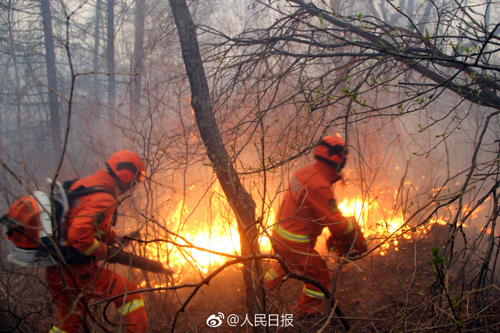 Firefighters try to put out the forest fire in northern China's Inner Mongolia Autonomous Region. [Photo: weibo.com]