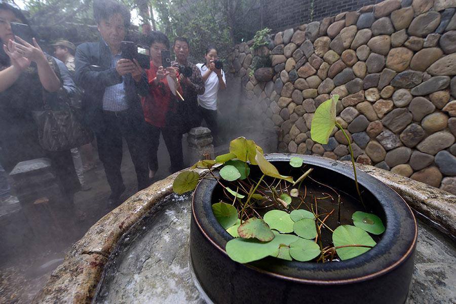 700多年的古蓮“復活”啦 A seed over 700 years old grows into a plant