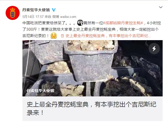 The official Weibo account of the Danish embassy in Beijing on Sunday forwarded a report by the Chengdu Business Daily about a woman from Sichuan who managed to dig up around 150 kilograms of giant oysters along the Danish coast. [Photo: Weibo.com]