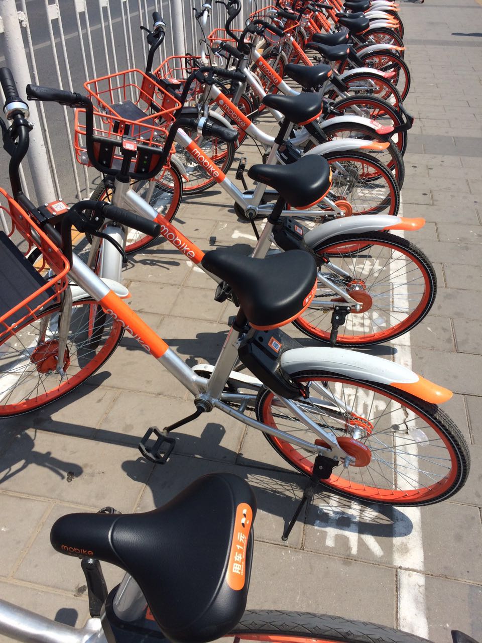 Shared bikes parked in a specific location near the Babaoshan subway station established by the local government in Beijing's Shijingshan District on May 17, 2017. [Photo: Chinaplus]