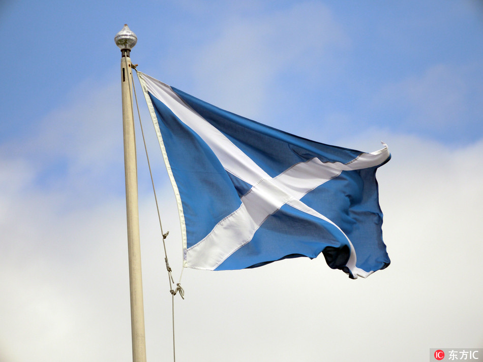 The Scottish flag waves near Inverness, Great Britain, 19 June 2015. [Photo:IC]