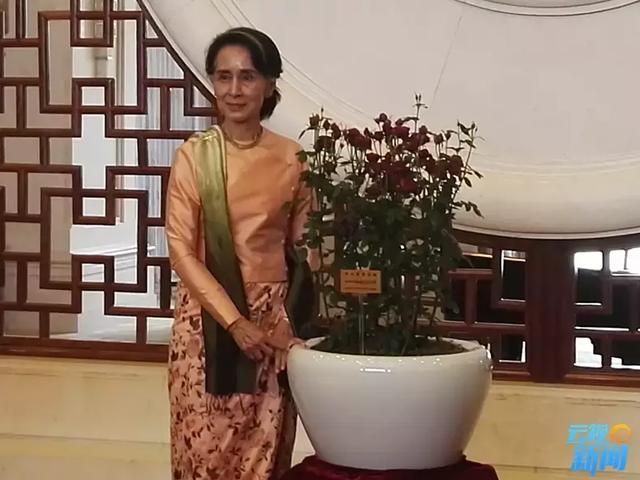 Myanmar State Counsellor Aung San Suu Kyi poses for a photo with the new rose hybrid named in her honor in Kunming, capital of southwest China's Yunnan province, May 17, 2017. [Photo: ynradio.com]
