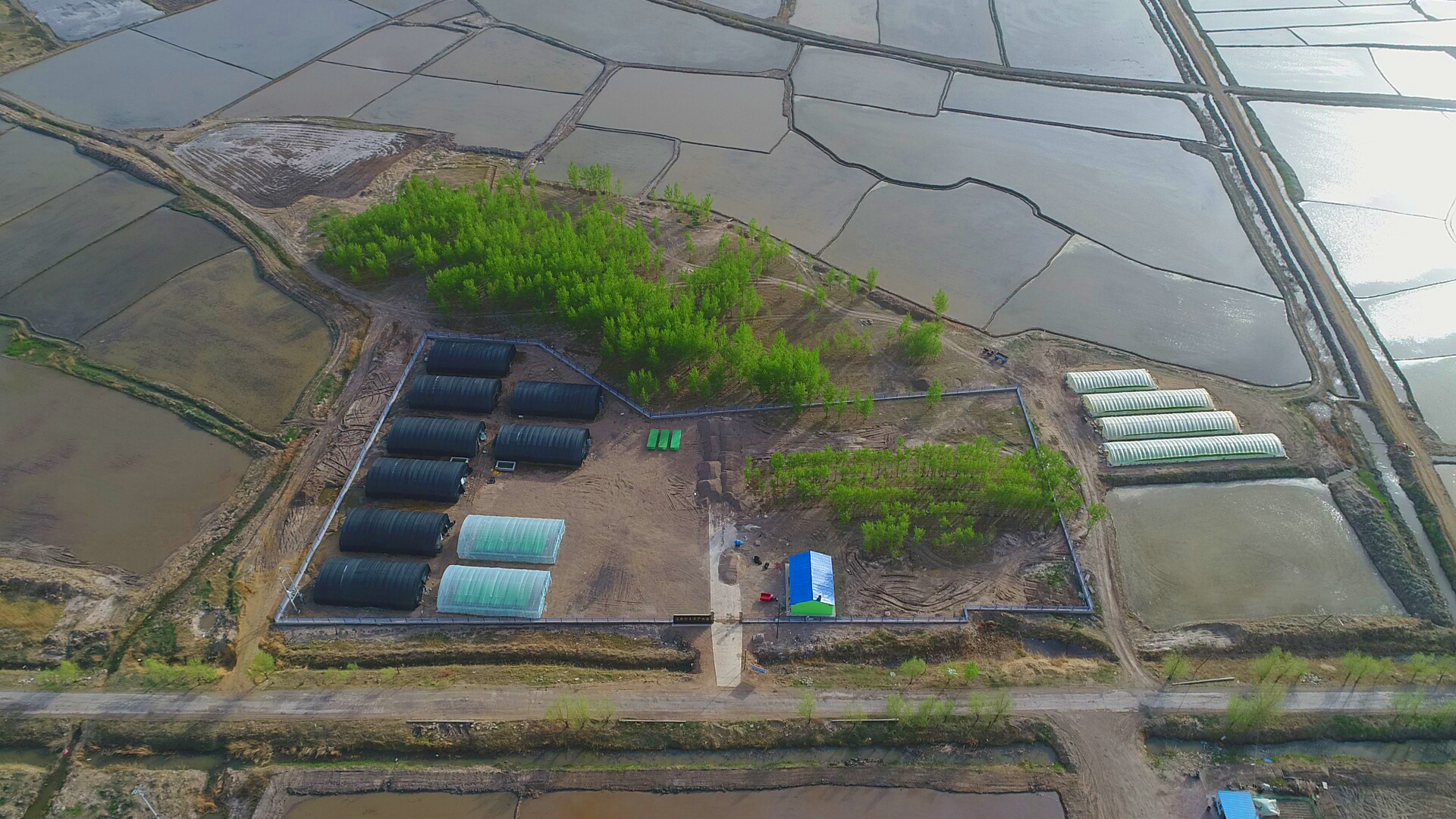 An aerial view of greenhouses for cultivating black fungus in Lixin village, northeast China’s Jilin province [Photo: China Plus]