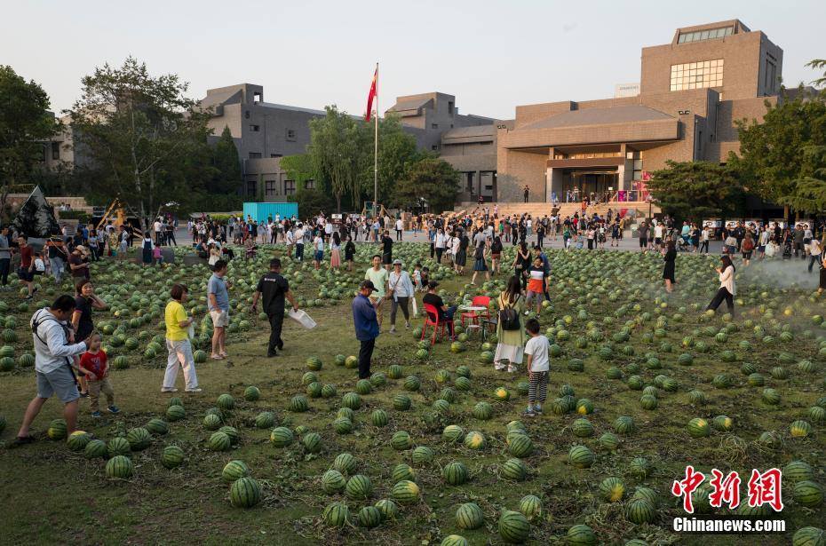 中央美院送毕业生“瓜田”Free watermelon at art school exhibition