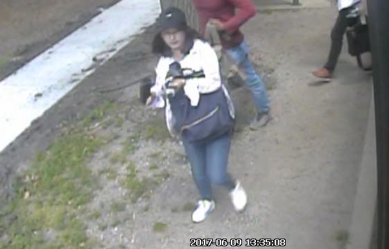 Yingying Zhang boarded an MTD Teal line bus at the south shelter at Orchard Downs at 1:35 p.m. on Friday, June 9. She exited the bus at Springfield and Mathews avenues in Urbana at 1:52 p.m. Friday. At the time, she was wearing a charcoal gray hat with a white logo on the front. She has shoulder length brown hair, glasses, and a white/pink flannel print long sleeve shirt, white undershirt, jeans, white shoes, and a navy backpack.