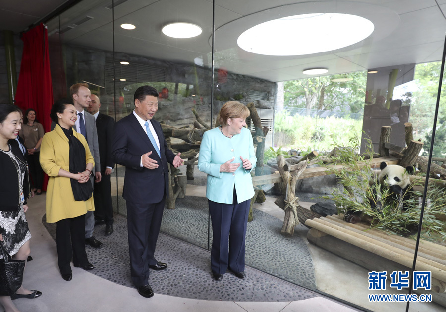 Chinese President Xi Jinping and German Chancellor Angela Merkel attend the official opening ceremony of the Panda Garden at Zoo Berlin on Wednesday. [Photo: Xinhua]