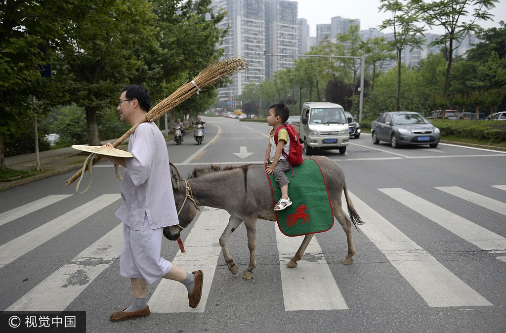骑着毛驴去上学 Go to school by donkey