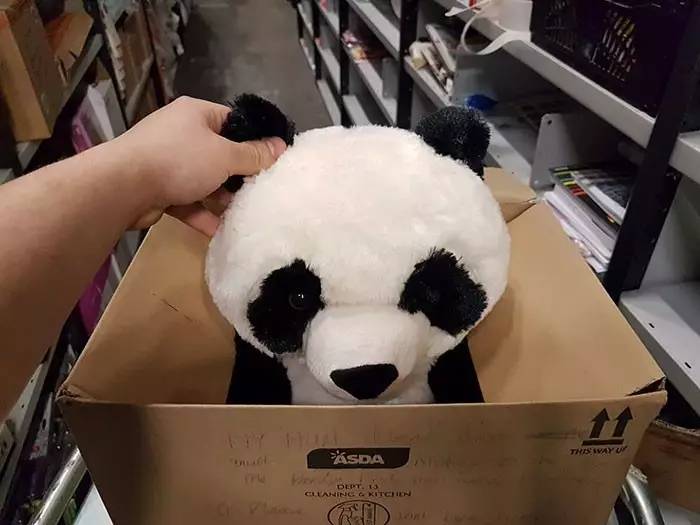 A picture of the toy Panda bear at Asda supermarket in Liverpool, UK. [Photo: sohu.com]