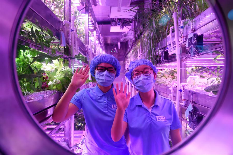 Two volunteers greet from inside the Lunar Palace 1, a facility for conducting bio-regenerative life-support systems experiments key to setting up a lunar base, in Beijing University for Aeronautics and Astronautics (BUAA) in Beijing, capital of China, May 10, 2017. [File Photo: Xinhua]