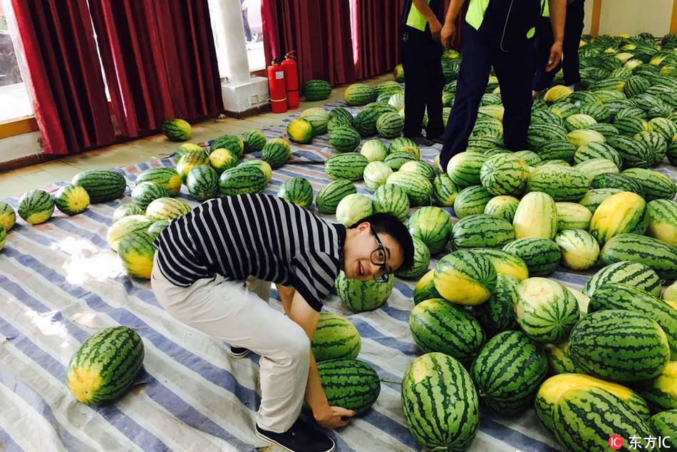 学校为助贫困生狂购26吨西瓜 University buys 26 tons of watermelons for a single time