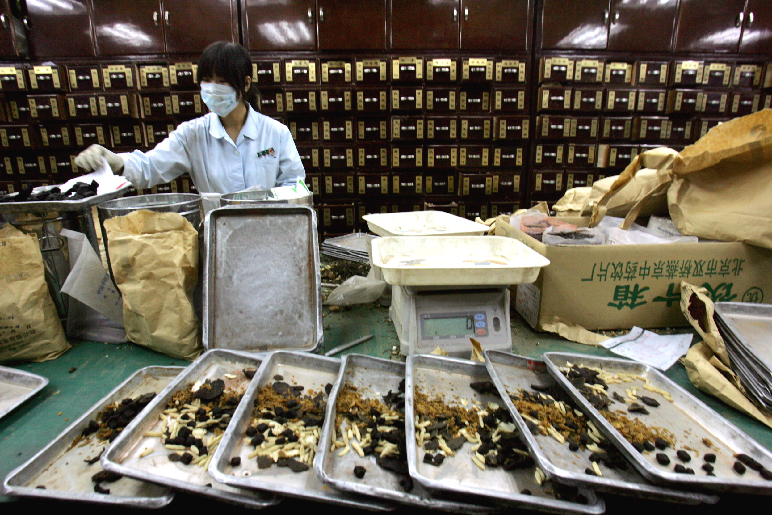 A Chinese girl sorts out traditional Chinese remedies to supply Doctor's orders for patients at a clinic in Beijing, China Thursday Dec. 15, 2005. As temperatures drop and flu related symptoms become more common, Chinese flock to traditional non aggressive methods to soothe their ailments. While Western medicine is commonly available through out China for the treatment of many diseases, Chinese still turn traditional Chinese medicine which plays a special role for the nation in treating the sick and keeping healthy. (AP Photo/Elizabeth Dalziel)