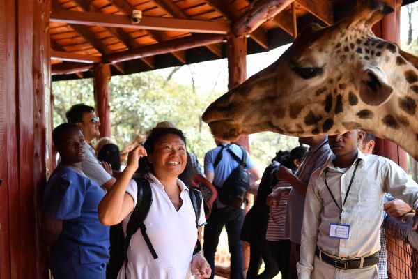 A Chinese tourist interacts with a giraffe at a zoo in Nairobi, Kenya. [Photo: Xinhua]