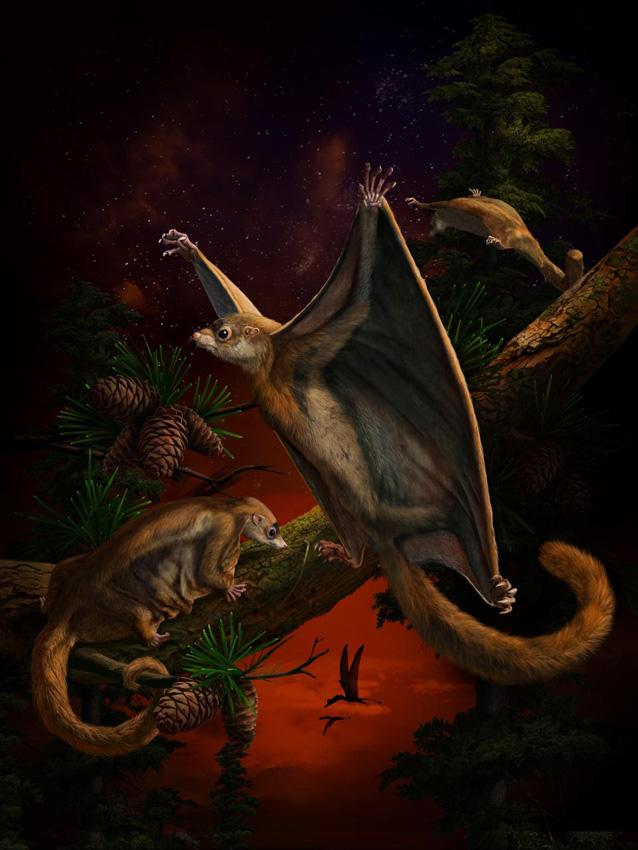 Ancient mammals that evolved to glide and live in trees are shown in an artist's rendition. [Photo: CCTV.com]